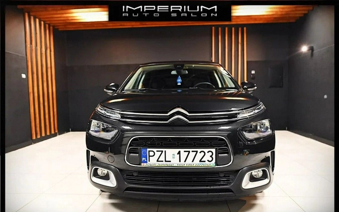 Citroen C4 Cactus cena 59900 przebieg: 15000, rok produkcji 2021 z Tczew małe 277